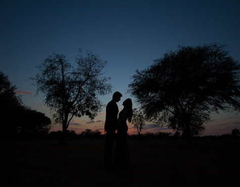 silhouette photography